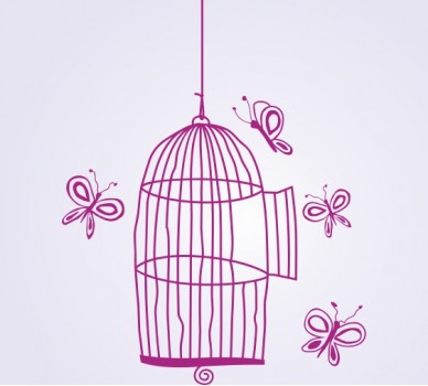 Butterfly Cage