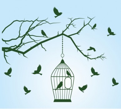 Bird Cage On A Branch