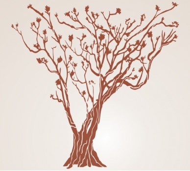 Tree 32, Maple tree