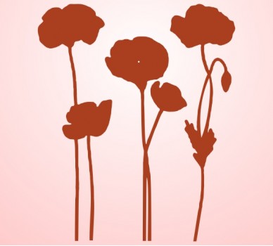 Flowers 16, Carnations