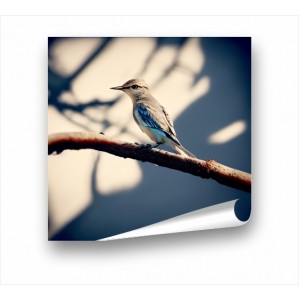 Wall Decoration | Animals PP | A Mocking Bird on a Branch PP_11001
