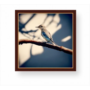 Wall Decoration | Framed | A Mocking Bird on a Branch FP_11001