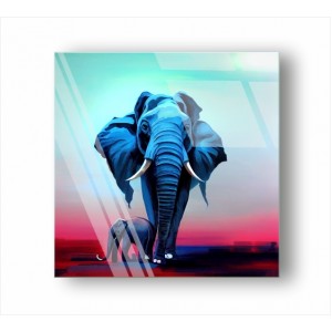 Elephant GP_11002