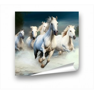 Wall Decoration | Animals PP | Horse PP_1100501