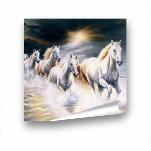 Wall Decoration | Animals PP | Horse PP_1100502