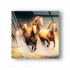Wall Decoration | Animal GP | Horse GP_1100503