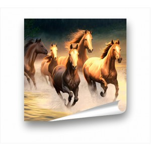 Wall Decoration | Animals PP | Horse PP_1100503