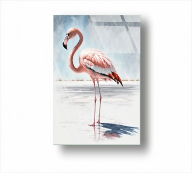 Flamingo GP_1100701