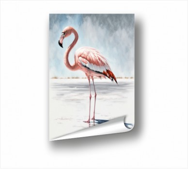 Flamingo PP_1100701