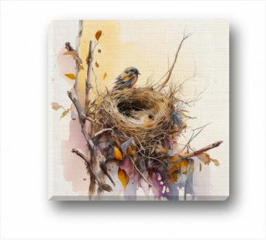 Nest And Bird CP_1101001