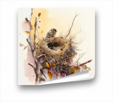 Nest And Bird PP_1101001