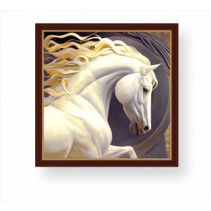 Wall Decoration | Framed | Horse FP_1200801 