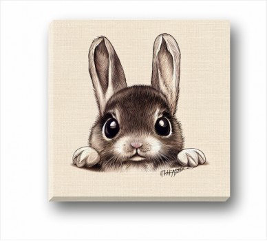 Rabbit Bunny CP_1400411