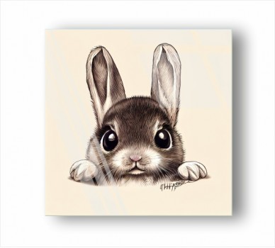 Rabbit Bunny GP_1400411