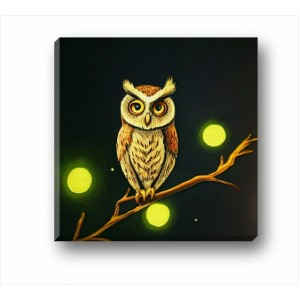 Wall Decoration | For Kids CP | Owl CP_1401501
