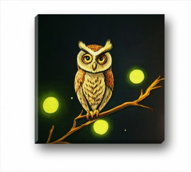 Owl CP_1401501