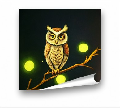 Owl PP_1401501