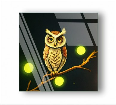 Owl GP_1401501
