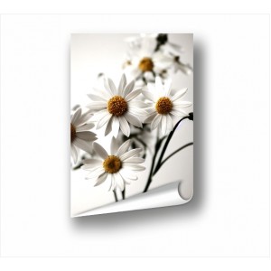 Wall Decoration | Posters | Flowers PP_3100804