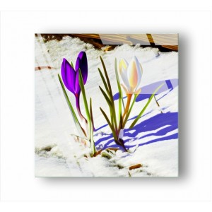 Wall Decoration | Glass | Flowers GP_3102200