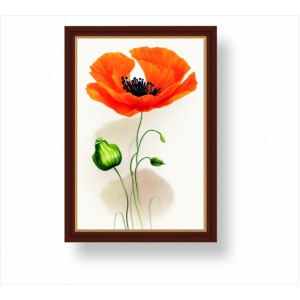 Wall Decoration | Framed | Flowers FP_3500201