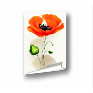 Wall Decoration | Posters | Flowers PP_3500201