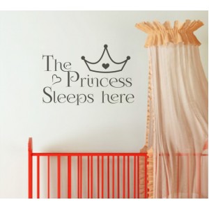 Wall Decoration | Fairies  | Princess Sleeps here