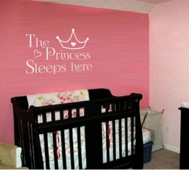 Princess Sleeps here