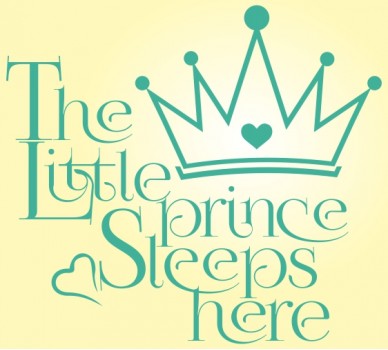 The Little Prince Sleeps here