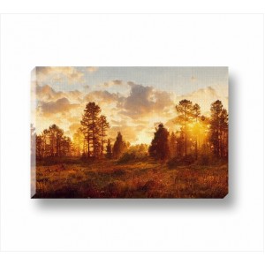 Wall Decoration | Forests and Fields | Landscape CP_5101500