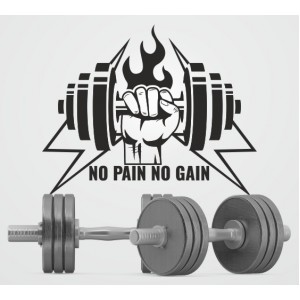 Wall Decoration | Fitness Quotes | No Pain No Gain