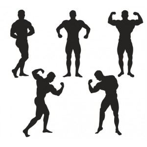 Wall Decoration | Silhouettes | Bodybuilding 307