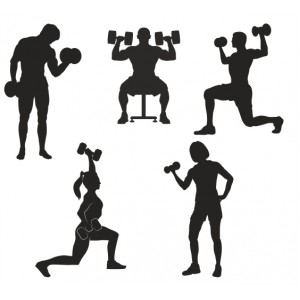 Wall Decoration | Silhouettes | Dumbbells 308
