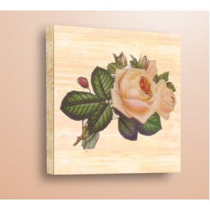 Wall Decoration | For Kitchen, Wood | Watercolor rose