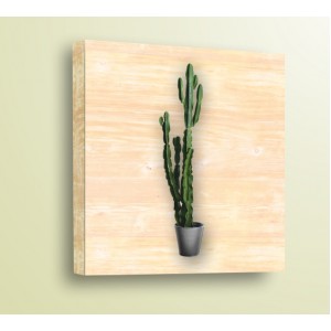 Wall Decoration | Wood | Cactus 11167